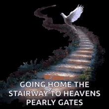 Stairway To Heaven Going Home The Stairway To Heavens Pearly Gates GIF - Stairway To Heaven Going Home The Stairway To Heavens Pearly Gates Dove GIFs