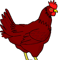 Chicken Sticker - Chicken Stickers