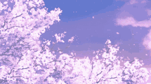 Purple Sakura Tree GIF - Purple Sakura Tree GIFs