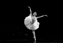 Classic Ballet GIF - Classic Ballet GIFs
