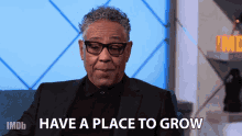Have A Place To Grow Giancarlo Esposito GIF - Have A Place To Grow Giancarlo Esposito The Imdb Show GIFs