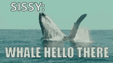 hello there whale pun