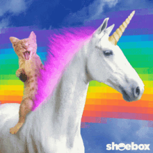 unicorn badass cat rainbow animal