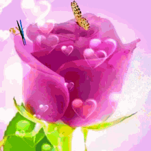 Feliz Fin De Semana Rosas GIF - Feliz Fin De Semana Rosas Rose GIFs