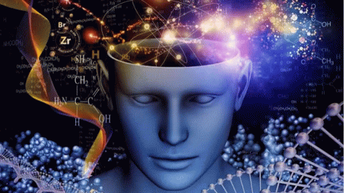 Gif moving image of a human head with streams of abstract things moving around it