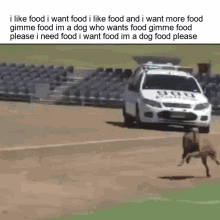 dog funny dog food attack lol