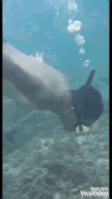 snorkeling diving
