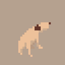 Dancing Dog Pixelated GIF - Dancing Dog Dog Pixelated GIFs