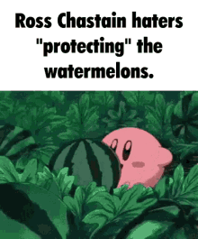 Ross Chas Watermelon GIF - Ross Chas Watermelon Eating GIFs