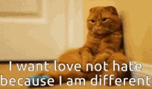 I Want Love Not Hate Because I Am Different Cat GIF - I Want Love Not Hate Because I Am Different Cat Sad GIFs