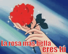 La Rosa Más Bella Eres Tú GIF - Una Rosa Flor Frases De Amor GIFs