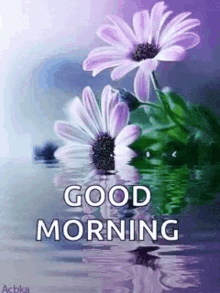 Good Morning Flowers GIF - Good Morning Flowers Sparkles GIFs