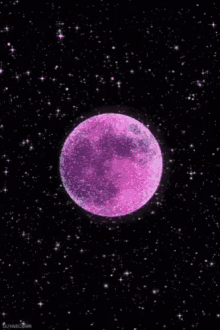 Pink Moon GIF - Pink Moon Night GIFs