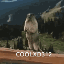Coolxd Zoverr GIF - Coolxd Zoverr Gopher GIFs