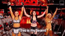 Wwe Paige GIF - Wwe Paige This Is My Team GIFs