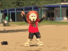 ottawa senators spartacat dancing nhl mascot