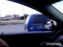 Pony In Car Transport GIF - Pony In Car Transport Driving Wtf GIFs