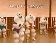 poodle dance