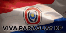 Paraguay Flag GIF - Paraguay Flag Viva Paraguay GIFs