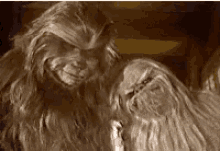 Lifeday Wookiee GIF - Lifeday Wookiee Star GIFs