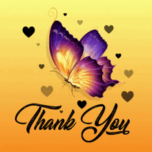 Thank You Butterfly GIF - Thank You Butterfly Hearts GIFs