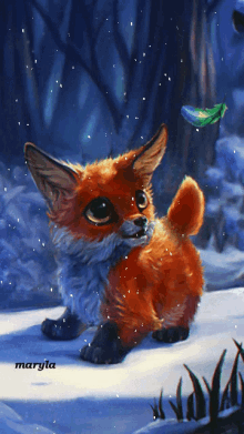 fox cute adorable fox cute adorable