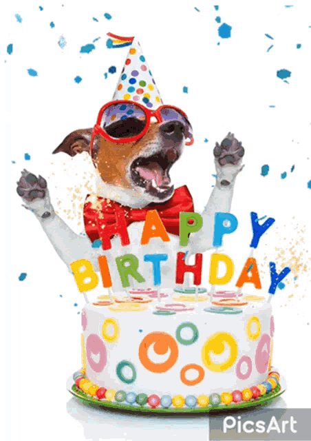 Pohyblivý obrázek se psem, který má narozeninovou čepičku, sluneční brýle a před sebou narozeninový dort s nápisem Happy Birthday.