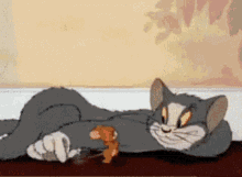 Tom And Jerry Run GIF - Tom And Jerry Run Mouse GIFs