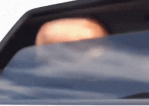 funny GIF