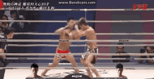 那須川 天心 空手 格闘技 GIF - Counterpunch Knockout Tenshin Nakazawa GIFs