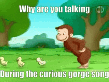 curious gorge song