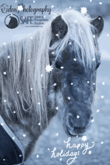 Save A Forgotten Equine Safe GIF - Save A Forgotten Equine Safe Holiday GIFs