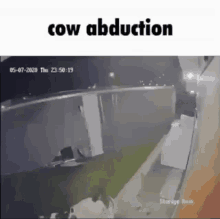 Cow Abduction GIF - Cow Abduction GIFs