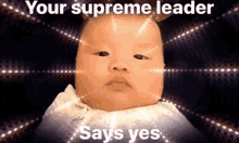 Supreme Leader Say Yes GIF - Supreme Leader Say Yes Baby GIFs