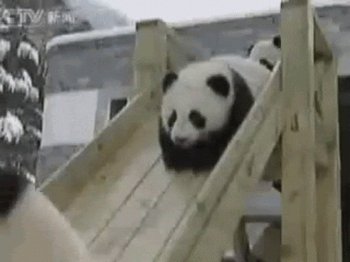 Weeee GIF - WEEEE - Descubre &amp; Comparte GIFs