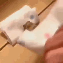 Frog Tuck In GIF - Frog Tuck In GIFs