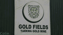 gfi goldfields