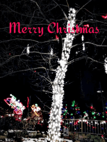 Merry Christmas Xmas GIF - Merry Christmas Xmas Tree GIFs