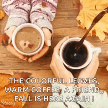 coffee time autumn hello falling leaves outdoors