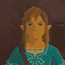 Champion Linkle GIF - Champion Linkle - Discover & Share GIFs