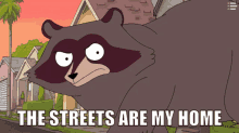 Raccoon Housebroken GIF - Raccoon Housebroken Streets GIFs
