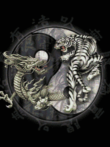 Yin Yang Dragon GIF - Yin Yang Dragon Tiger GIFs