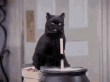 Black Cat Salem GIF - Black Cat Salem Sabrina The Teenage Witch GIFs