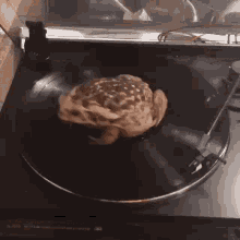 Spin Frog GIF - Spin Frog Xd GIFs