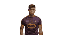 gaa hurling sport bord gais ireland