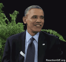 barack obama between two ferns smile
