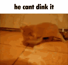 He Cant Dink It He Cant Drink It GIF - He Cant Dink It He Cant Drink It Thirsty GIFs