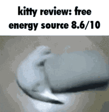 Kitty Review Cat Review GIF - Kitty Review Cat Review GIFs
