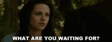 What Are You Waiting For Bella Swan GIF - What Are You Waiting For Bella Swan Kristen Stewart GIFs
