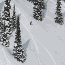 snowboarding red bull sliding downwards on my snowboard driving down the hill on my snowboard